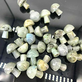 Naravni Kremen labradorite kristal, Ročno Izrezljano gob reiki healing 5pc