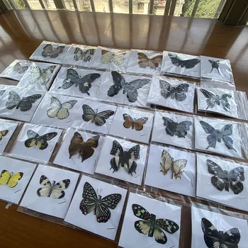 20 kosov naravnih mozaik metulj vzorcu umetnine materiala dekoracijo poučevanja poljudnoznanstvene tutorial