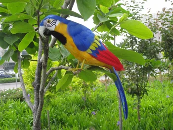resnično življenje Ptic, rumeno-modro perje papiga model velik 45 cm papiga vrt dekoracijo snemanje prop darilo h1002